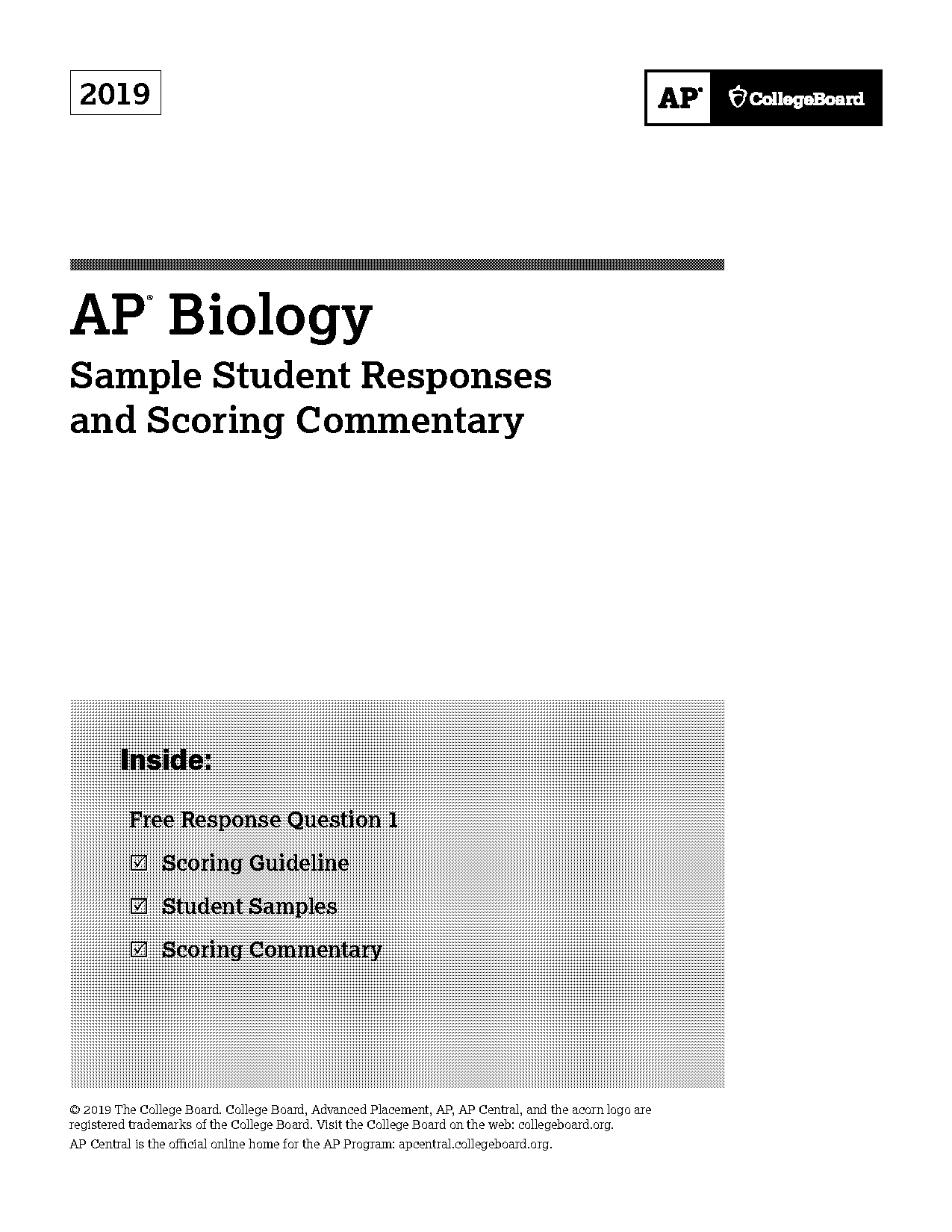 can bacteria do transcription and translation