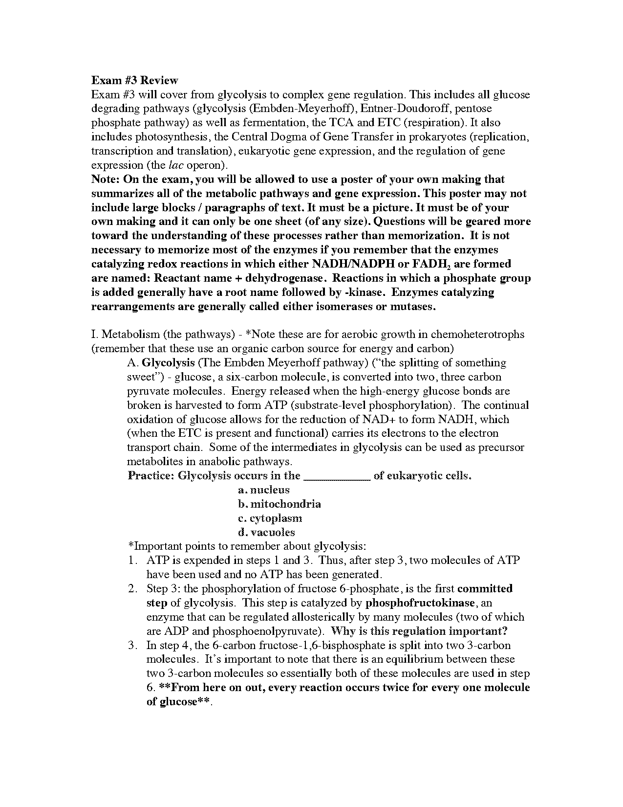 prokaryotic gene transcription diagram