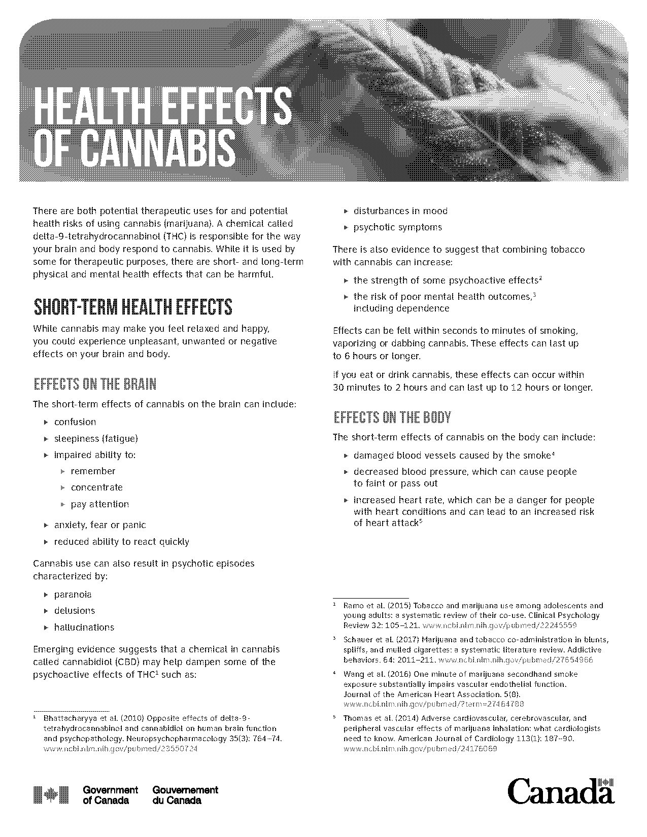 long term efects of alcohal use