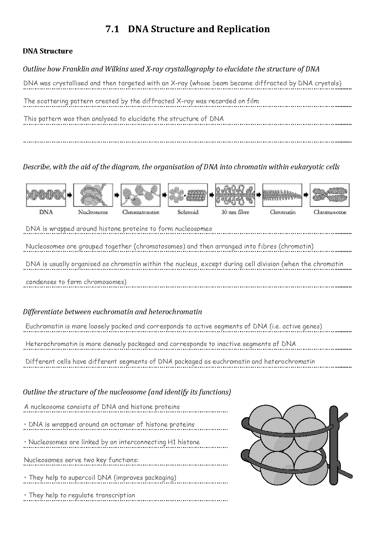 dna structure to profiling worksheet key