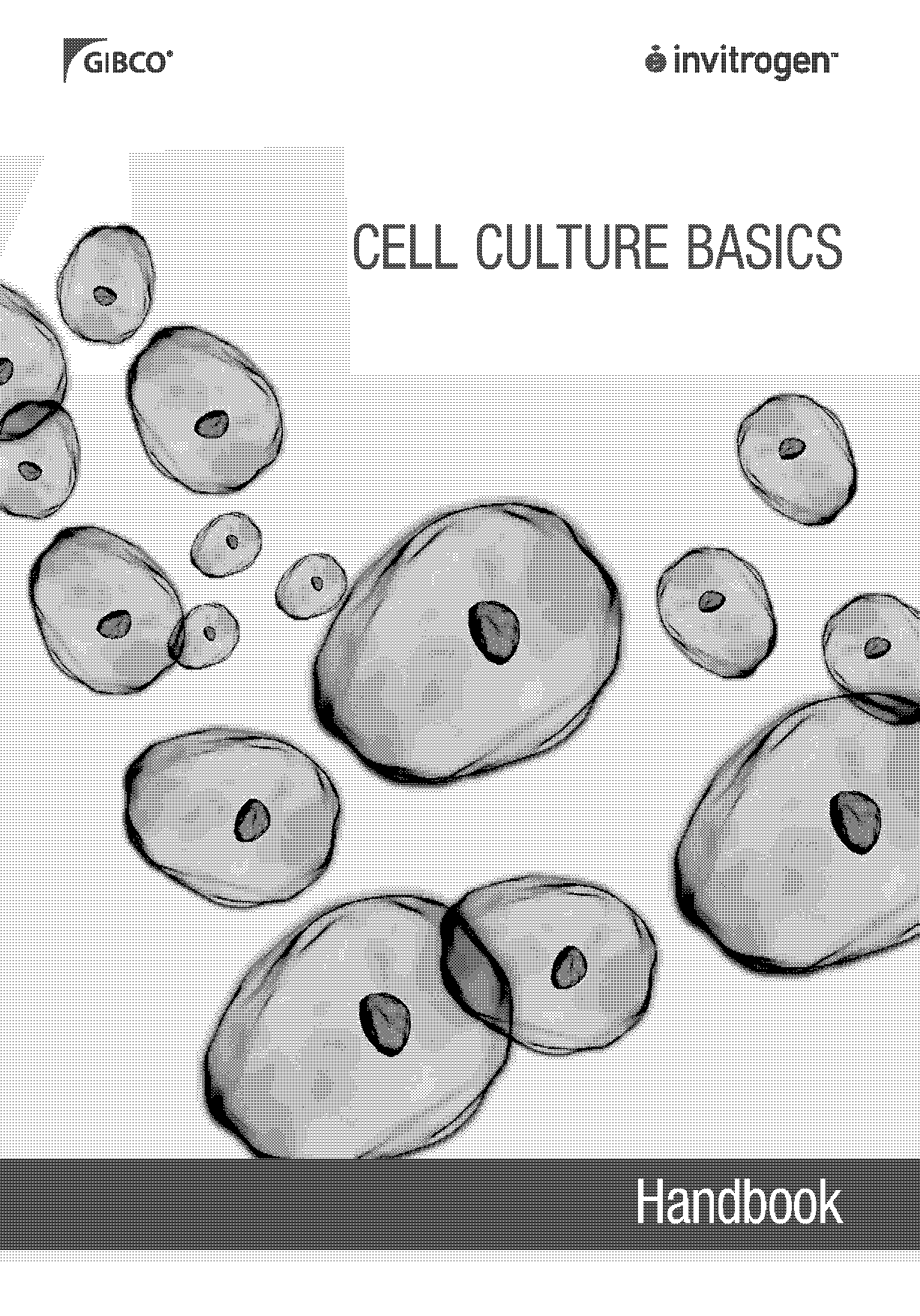 reference cell certain number above cell sheets