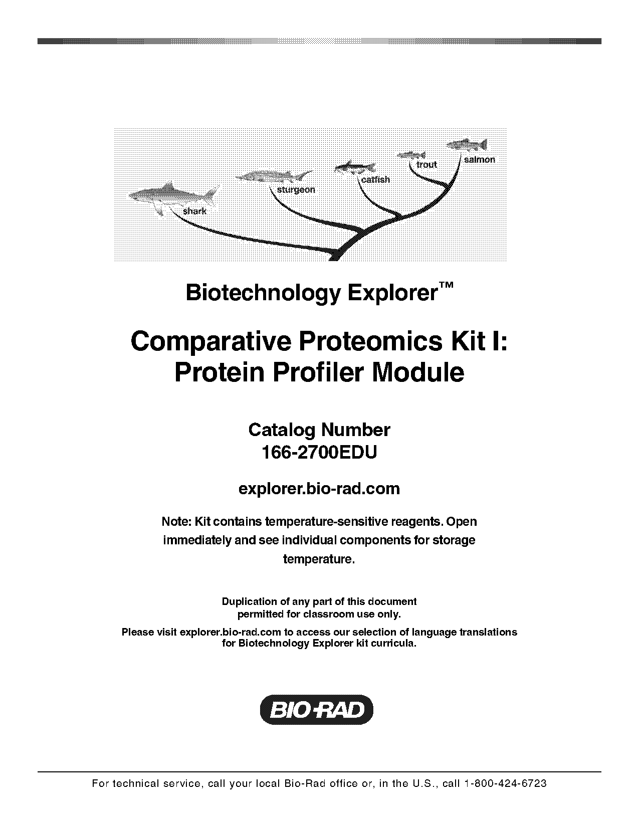 dna structure to profiling worksheet key