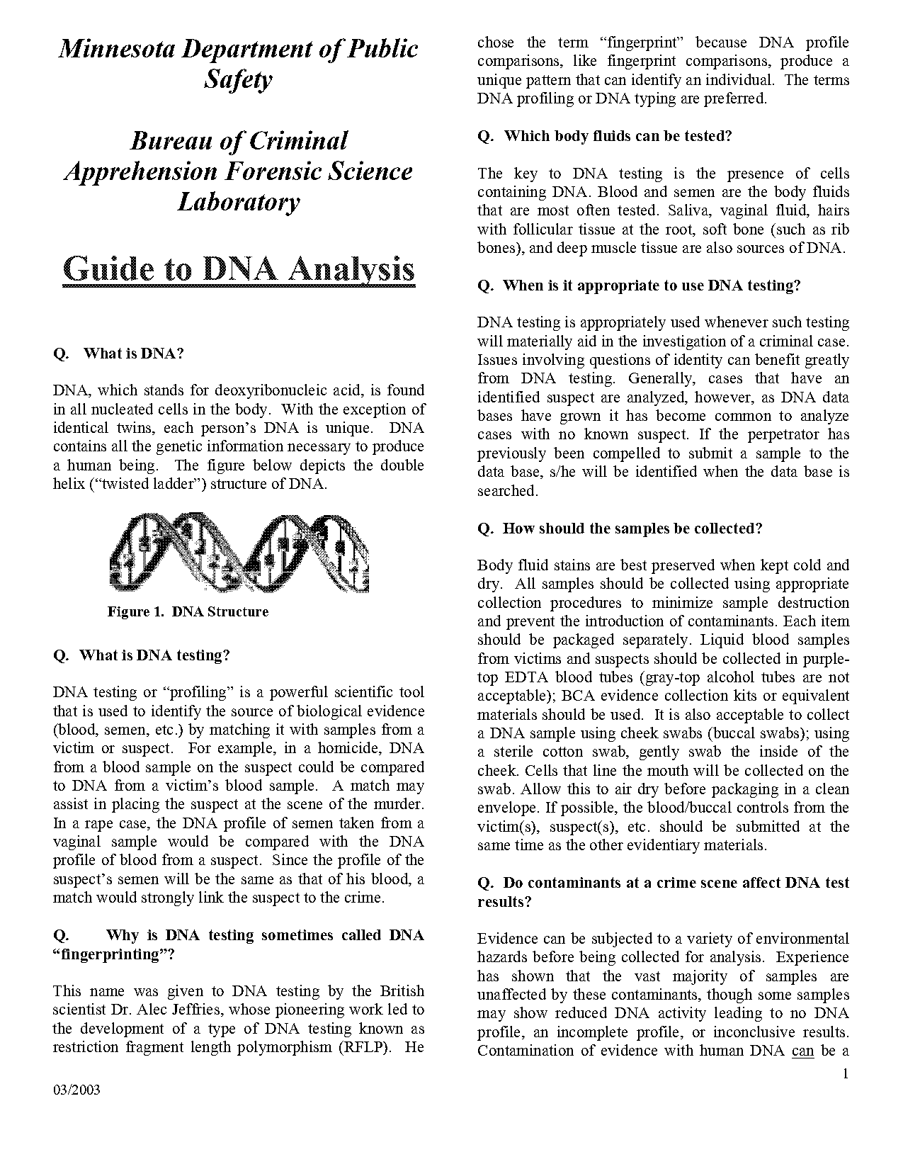 dna structure to profiling worksheet key